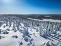 Ski Expedition in Ylläs National Park (Multiday)