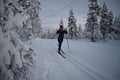 Cross-country ski group lesson: classic