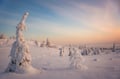 Riisitunturi National Park Adventure