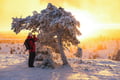 Riisitunturi National Park Adventure