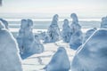 Riisitunturi National Park Adventure
