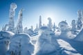 Riisitunturi National Park Adventure