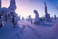 Riisitunturi National Park Adventure