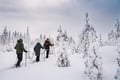 Snowshoe trip to meet reindeer in Rovaniemi
