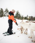 Snowshoe trip to meet reindeer in Rovaniemi