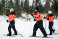 Snowshoe trip to meet reindeer in Rovaniemi