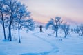 Snowshoeing in Utsjoki: Intermediate 3-4 hour scenic snowshoe hike to the highlands