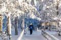 Rovaniemi: Insider Guided Tour in Ranua Zoo