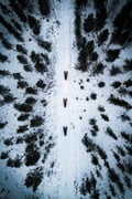 Private snowmobile safari 2,5 h