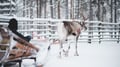 Snowmobile Safari to a Traditional Reindeer Farm in Levi
