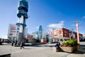 Cultural e-Fatbike Tour around Rovaniemi & Santa Claus Village
