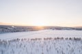 sledge tour safari snow lapland winter forest sport Levi