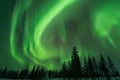 Rovaniemi: Insider Guaranteed Northern Lights Tour