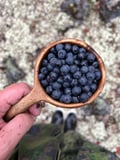 Wooden mug full of hand picked blueberries