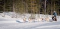 10KM Self Driven Husky Sled Adventure in Rovaniemi
