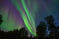 Rovaniemi: Private/VIP/ Exclusive Aurora Hunting Tour