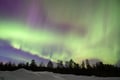 Rovaniemi: Private/VIP/ Exclusive Aurora Hunting Tour