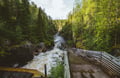 From Rovaniemi: Full Day Tour to Lapland's Best Attractions 5in1