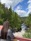 From Rovaniemi: Full Day Tour to Lapland's Best Attractions 5in1