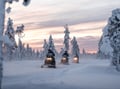 Snowmobile tour safari snow lapland winter forest sport