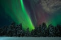 Levi: Private Guaranteed Northern Lights Expedition with Photographer & Unlimited Mileage/Time - Private Tour