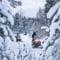 Snowmobile Safari with Snowshoeing