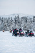 Snowmobiles stopped in a snowy forest.