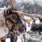 Premium Reindeer & Husky Combo (with Lunch)