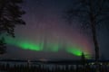 Private - Northern Lights Hunt in Levi