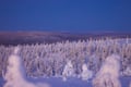 Ski Adventure with Overnight in a Wilderness Cottage & Sauna (Private)