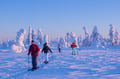 Winter Holiday Week in Ylläs National Park: Accommodation in Wooden Cabin & Activities Package