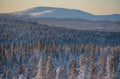 Winter Holiday Week in Ylläs National Park: Accommodation in Wooden Cabin & Activities Package