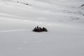 Super 1000 Arctic Ocean