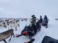 Super 1000 Arctic Ocean