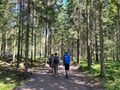 Private National Park and Porvoo Old Town tour from Helsinki