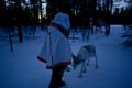 3-in-1 Combo Tour Husky, Reindeer & Snowmobile sleigh ride, Levi