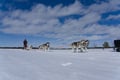 3-in-1 Combo Tour Husky, Reindeer & Snowmobile sleigh ride, Levi