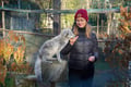 Husky Park Visit & Meet the Movie Star Animals, Levi