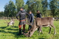 Authentic Reindeer Farm & Ranua Wildlife Park