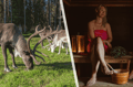 Reindeer & Wilderness Sauna (Private)