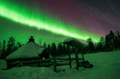 Rovaniemi: Lapland In A Day - Reindeer, Sledding, Snowmobile & Nature