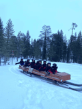 Rovaniemi: Lapland In A Day - Reindeer, Sledding, Snowmobile & Nature
