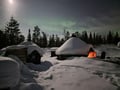 Rovaniemi: Lapland In A Day - Reindeer, Sledding, Snowmobile & Nature