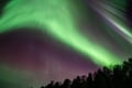 Rovaniemi: Lapland In A Day - Reindeer, Sledding, Snowmobile & Nature