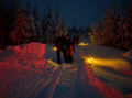 Rovaniemi: Lapland In A Day - Reindeer, Sledding, Snowmobile & Nature