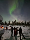 Rovaniemi: Lapland In A Day - Reindeer, Sledding, Snowmobile & Nature