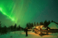 Rovaniemi: Lapland In A Day - Reindeer, Sledding, Snowmobile & Nature