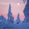 Snowmobile Adventure In The Arctic Forest