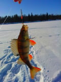 Private Snowmobile & Ice Fishing Adventure