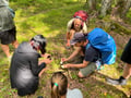 National Park and Smoke Sauna Experience